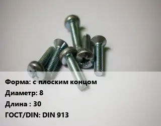 Винт с плоским концом 8х30 DIN 913